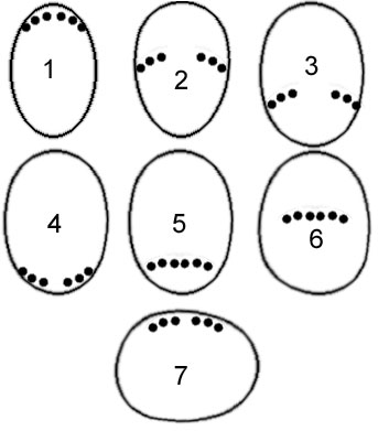 Stesura teglia quadrata 1